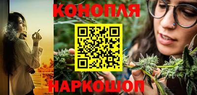 стаф Гусев