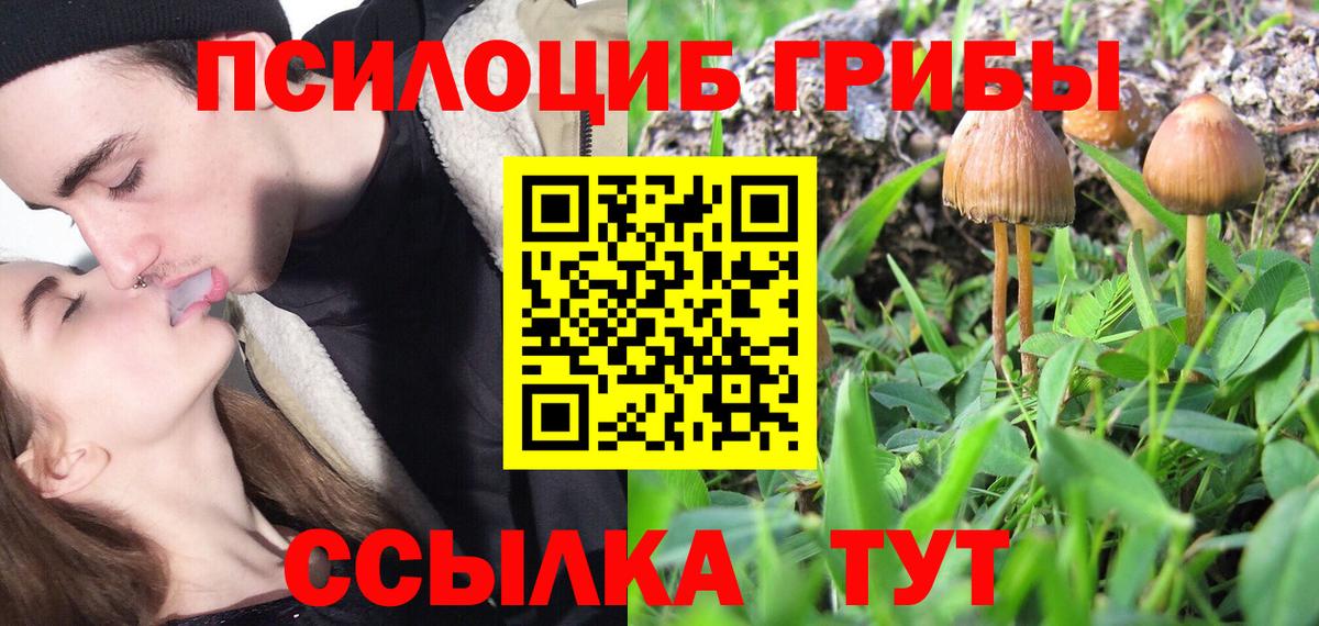 Дубна  наркошоп  Вход с VPN  Псилоцибиновые грибы Psilocybine cubensis 